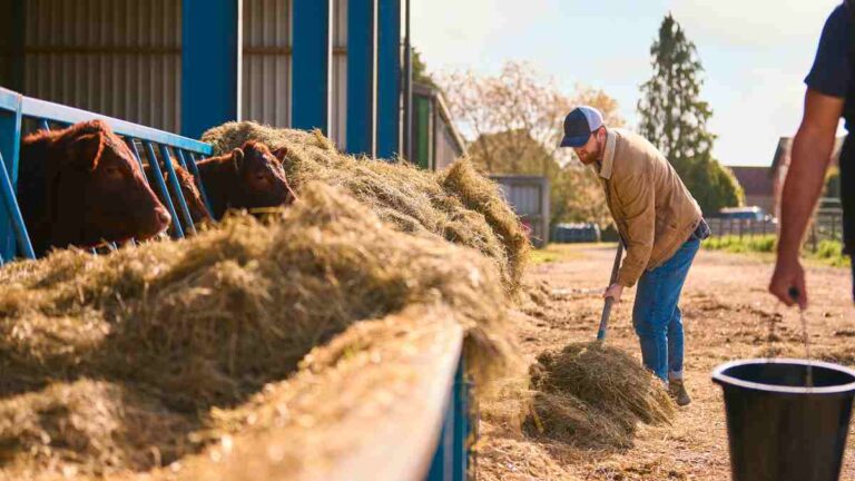 Seasonal jobs market looking up, says REC