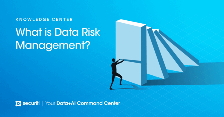What Is Data Risk Management? Data Risk Explained